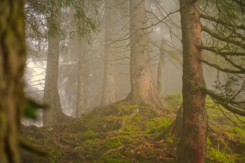 Connect with Nature